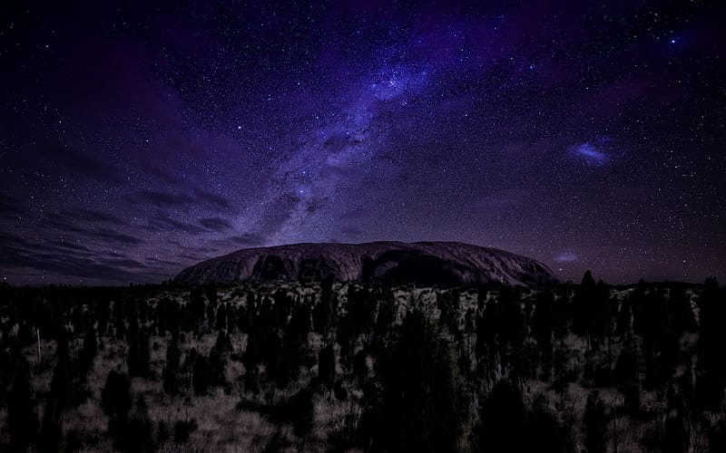Winter, Night, Forest, Tree, Starry Sky, , Australia, Ayers Rock, Uluru, HD wallpaper