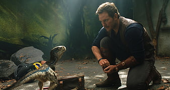 Chris Pratt And Little Raptor Jurassic World Fallen Kingdom, jurassic-world-fallen-kingdom, jurassic-world, 2018-movies, movies, chris-pratt, HD wallpaper