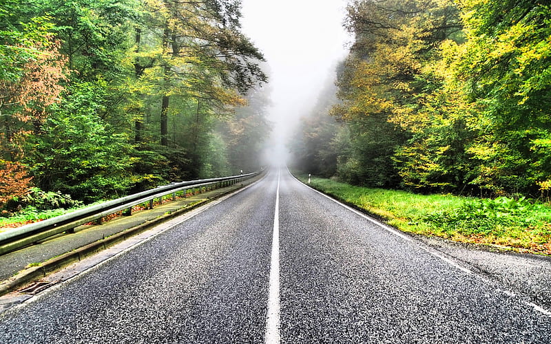 asphalt road, forest, fog, autumn, suspense concepts, HD wallpaper
