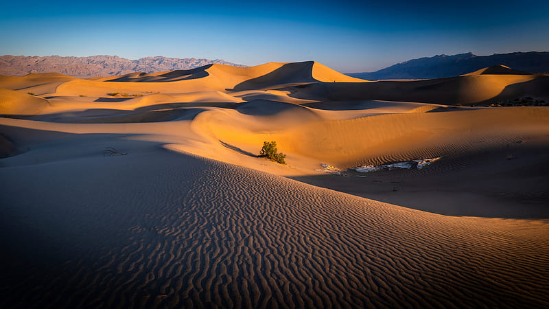 Earth, Death Valley, Desert , Sand , Dune, HD wallpaper