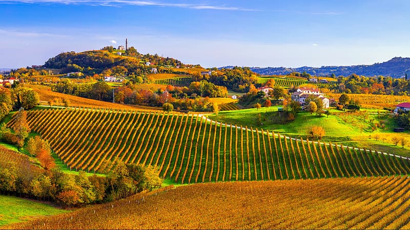 Prosecco Hills Conegliano Valdobbiadene Veneto Italy Bing, HD wallpaper
