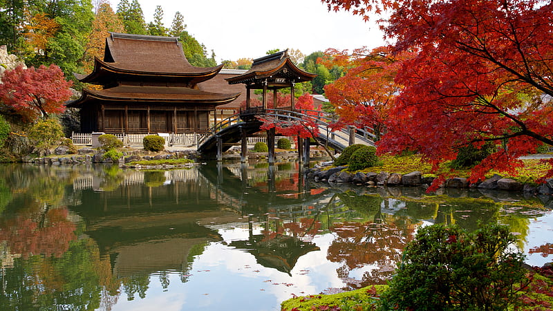 Religious, Pagoda, Fall, Garden, Park, Pond, Reflection, HD wallpaper