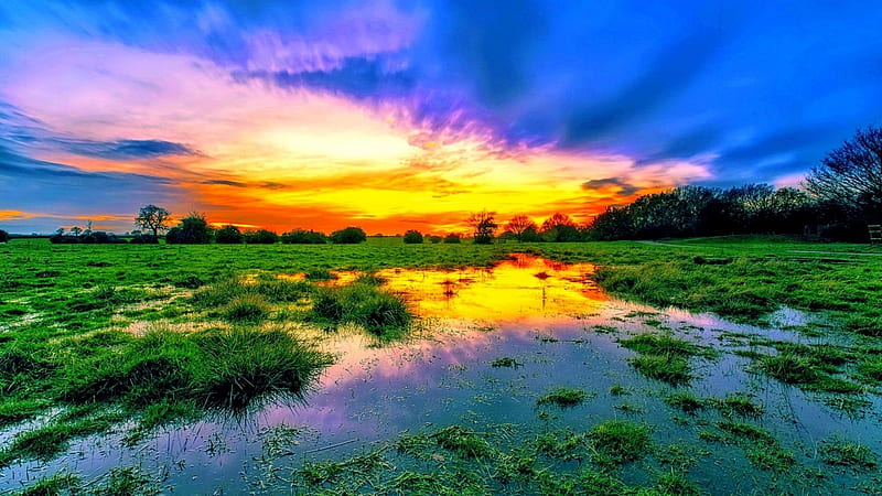 Swamp Sunset, woods, moss, nature, sunset, clouds, sky, swamp, HD wallpaper