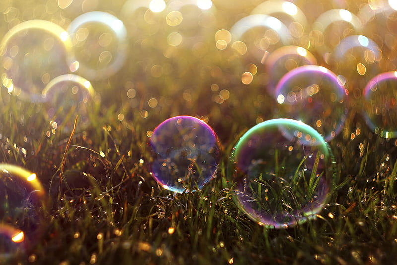 Morning bubbles, glotter, grass, water drops, summer, bubbles, dew, morning, baloane de sapun, HD wallpaper