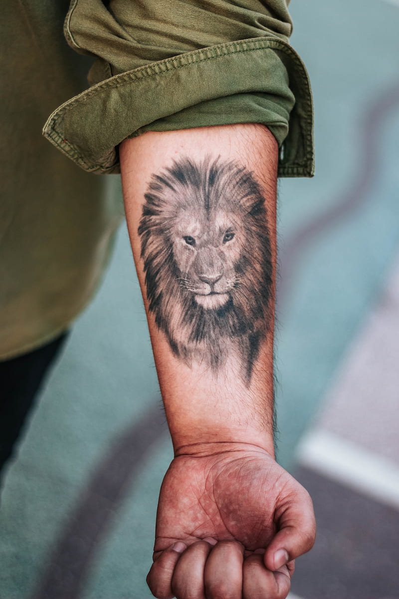 shallow focus graphy of lion forearm tattoo, HD phone wallpaper