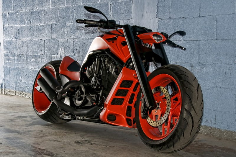 Harley V-Rod, v-rod, bike, harley, motorcycle, HD wallpaper