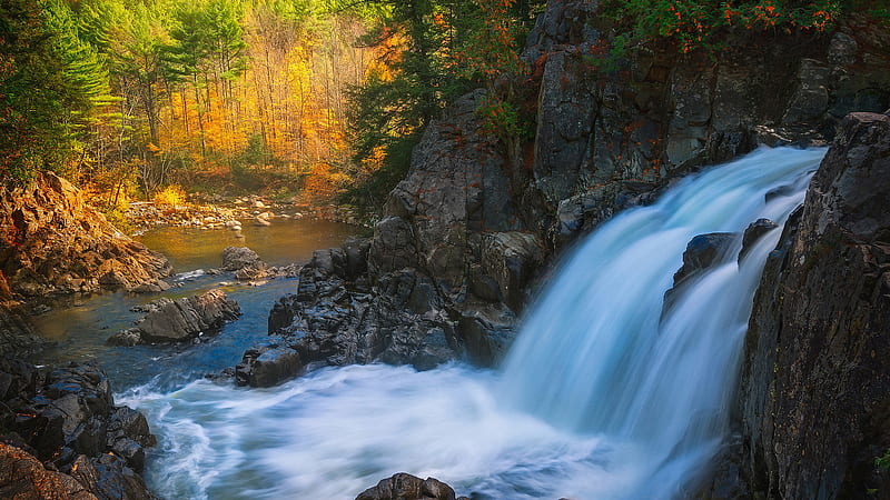 Adirondack Park Waterfall Around Trees In USA Nature, HD wallpaper