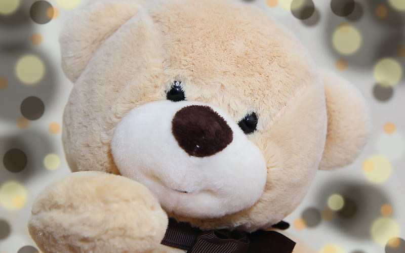 teddy bear, beige bear cub, cute toys, bear, romance, HD wallpaper