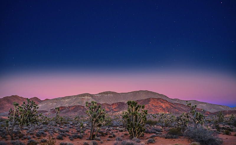 Pink Sunset, Desert Ultra, Nature, Desert, Sunset, Scene, Stars, nikond800e, pinksky, joshuatrees, newgoldbutteroad, whitneypockets, HD wallpaper