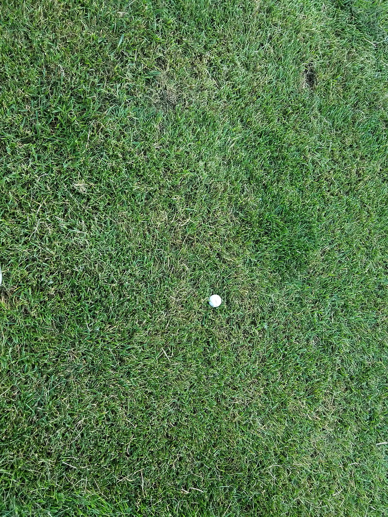 Golf ball, grass, green, turf, HD phone wallpaper