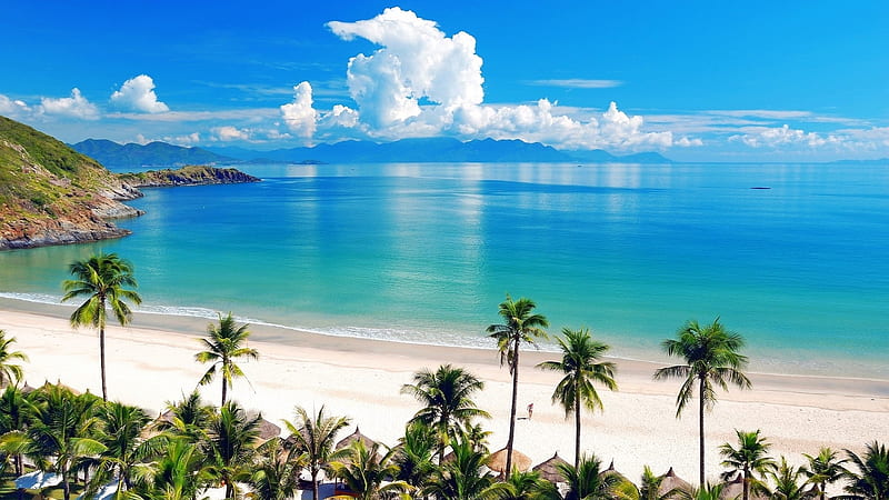 Sun of Jamaica, beach, clouds, sky, sea, palms, HD wallpaper