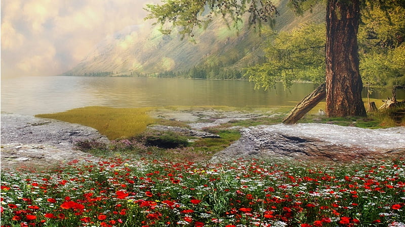 Lake in the Meadow, wild flowers, spring, trees, lake, pond, mountains, serene, summer, flowers, madow, relaxing, HD wallpaper