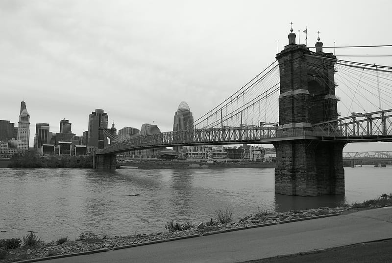 Cincinnati, Ohio Skyline With Bridge, Bridge, River, Ohio, Skyline, Cincinnati, Greyscale, Black And White, City, HD wallpaper