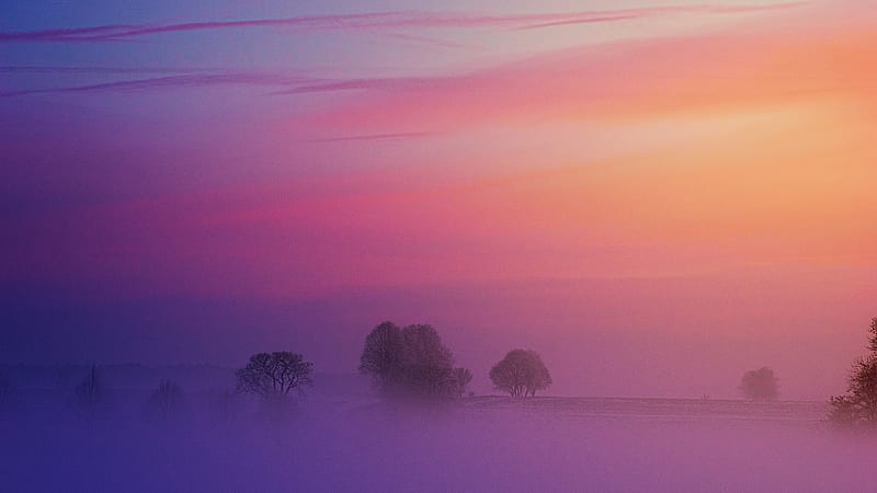 Pastel Morning , morning, nature, HD wallpaper