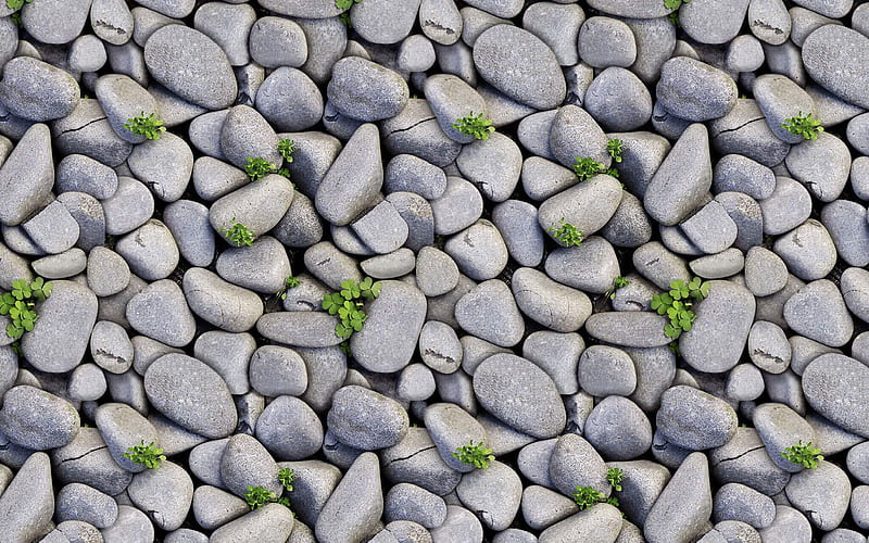 gray pebbles, macro, gray stone texture, gray stones, pebbles backgrounds, pebbles textures, stone backgrounds, gray backgrounds, pebbles, gray pebbles texture, HD wallpaper