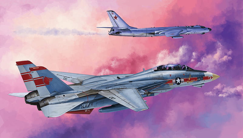 Jet Fighters, Grumman F-14 Tomcat, Warplane , Jet Fighter, HD wallpaper