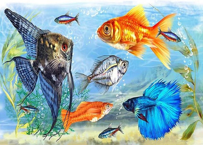 Pencil Sketch Of Aquarium - Drawing in Colour - Joshua Nava Arts