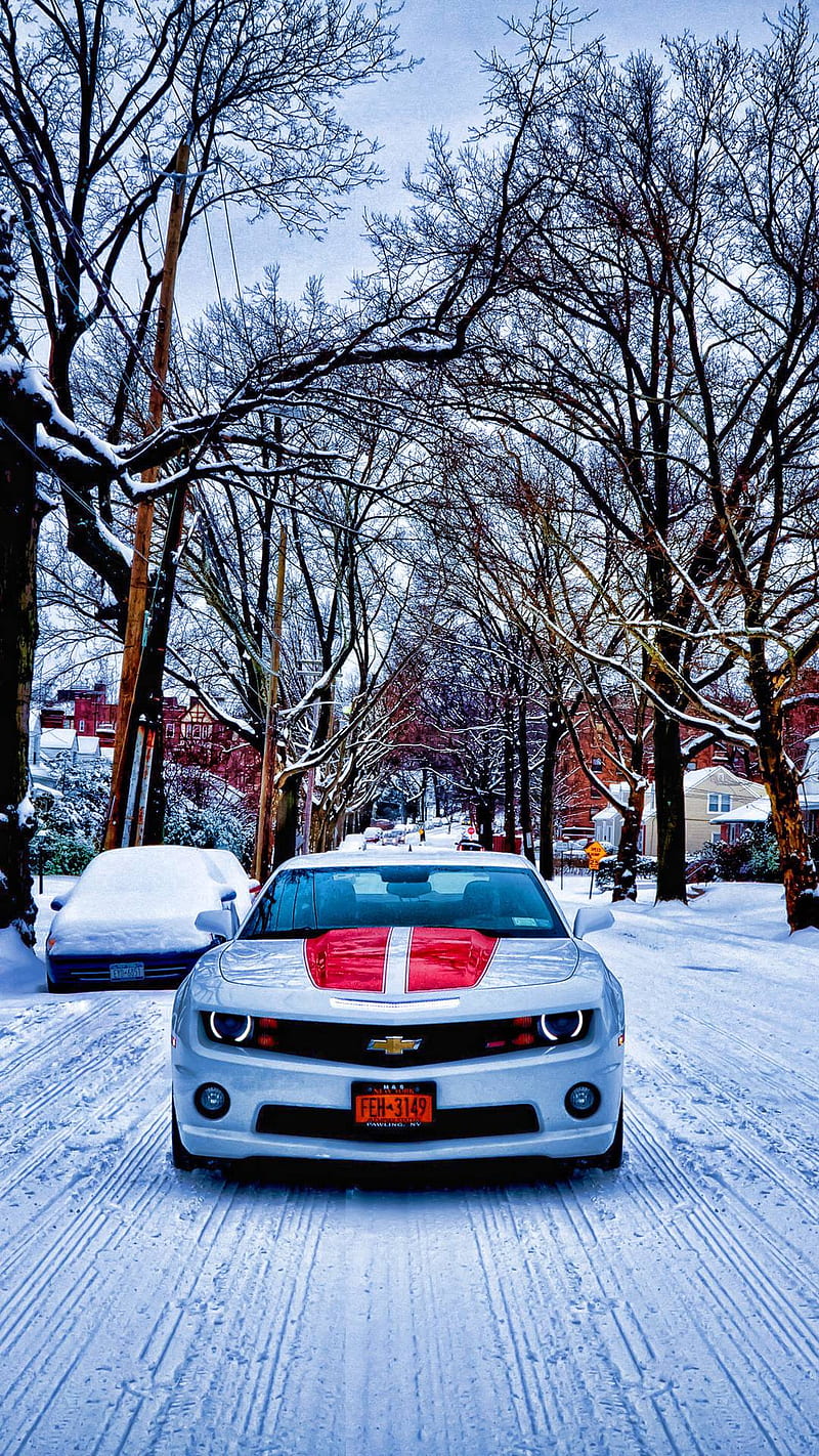 Snow Storm Challenge, carros, mustang, white, HD phone wallpaper