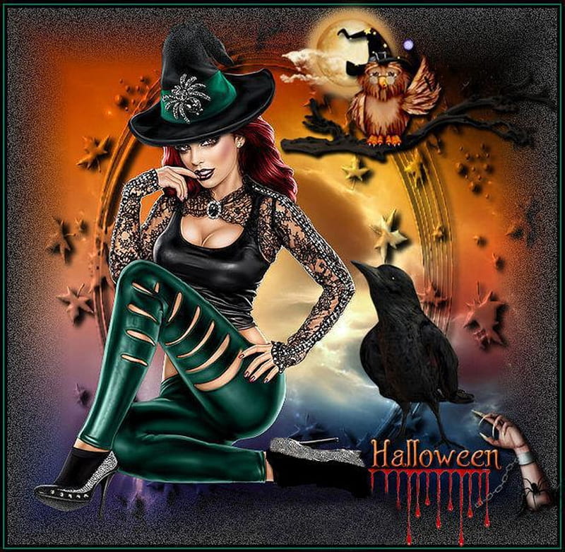 SEXY WITCH, BIRDS, HALLOWEEN, FEMALE, WITCH, HD wallpaper