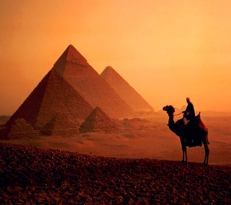 Pyramids, arab, cairo, camel, desert, egypt, HD wallpaper