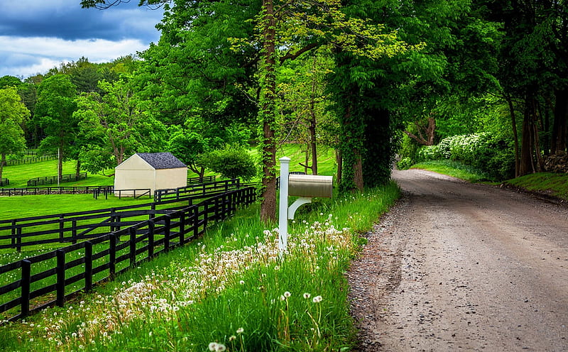 Country Road in Spring, roads, fences, landscapes, nature, spring, HD wallpaper