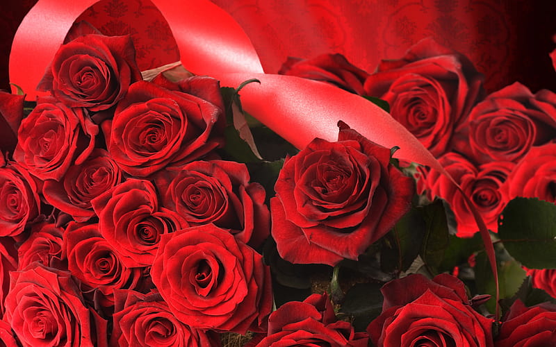 Red Roses, with love, pretty, valentine, red rose, nice, love, flowers, beauty, tender, valentines day, lovely, romance, ribbon, blossoms, red, rose, bonito, still life, graphy, bright colors, for you, blooms, romantic, valentine day, soft, delicate, roses, plants, flower, passion, petals, nature, HD wallpaper