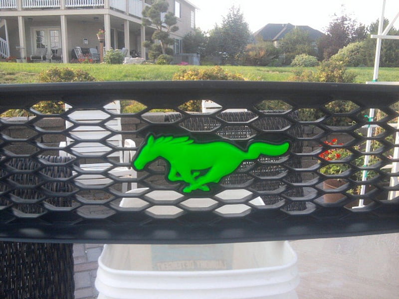 Mustang Grill, mustang, green, ford, emblem, grill, HD wallpaper