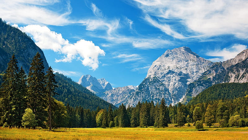 Alps, mountains, forest meadow, blue sky, clouds, HD wallpaper