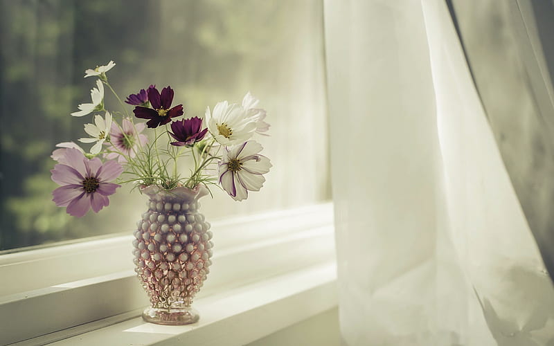 vase with flowers on the window, wildflowers bouquet, beautiful flowers, window, HD wallpaper
