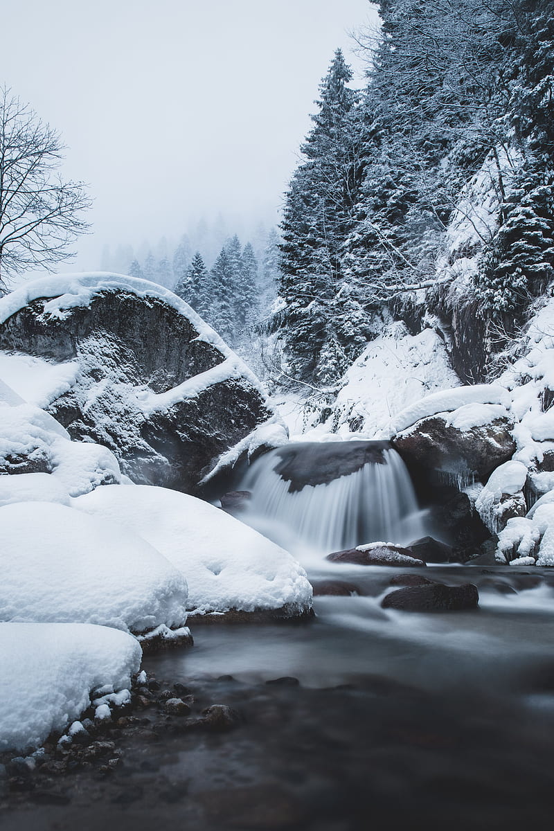 waterfall, snow, winter, trees, current, HD phone wallpaper