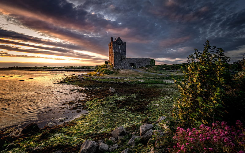 Dunguaire Castle, Irish stone fortress, County Galway, Ireland, evening, sunset, lake, beautiful landscape, HD wallpaper