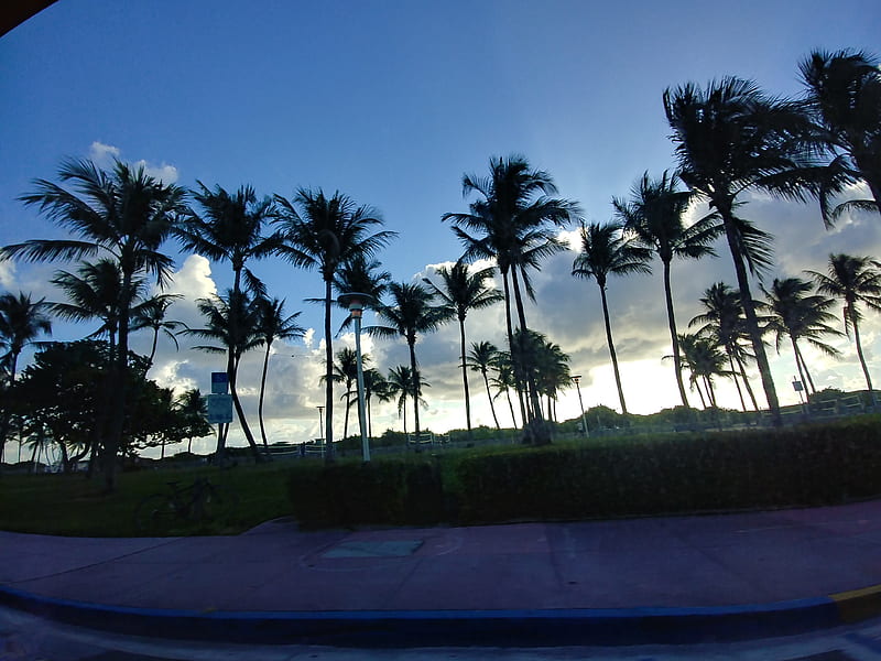 Miami Beach drive, palmtrees, sunset, HD wallpaper