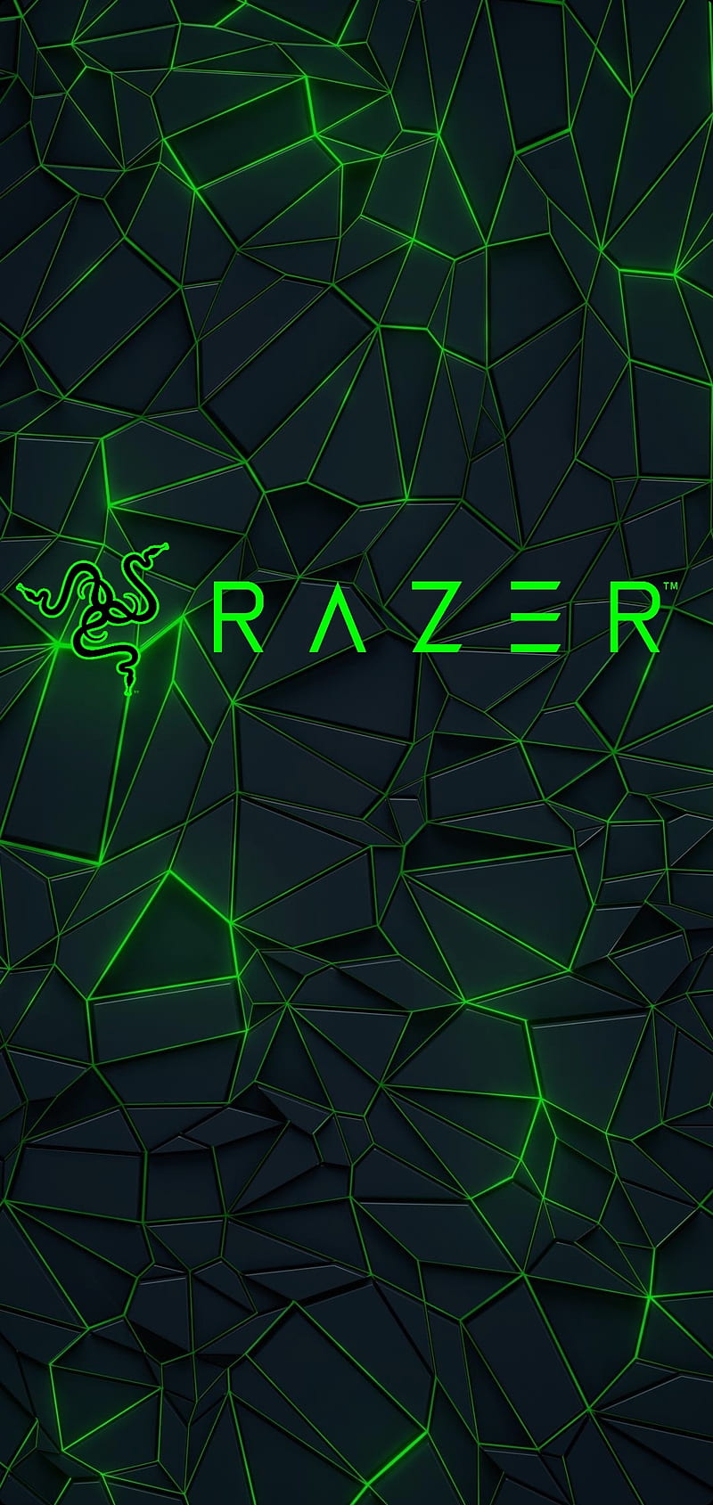 Green RAZER Logo, tech, computer, gradient, black, technology, tron, HD phone wallpaper