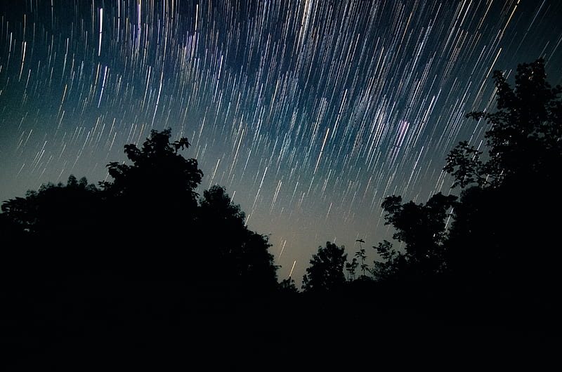 trees, starry sky, long exposure, night, dark, HD wallpaper
