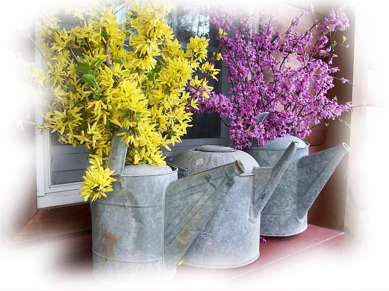 ~ Spring fever ~, window, sunlight, yellow, spring, lavender, metal, watering can, purple, siempre, flowers, nature, violet, sunshine, fever, complementary, HD wallpaper
