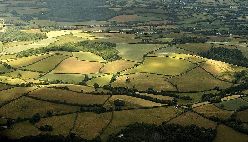 Quilted Landscape, Devon, scapes, patchwork, land, field, HD wallpaper