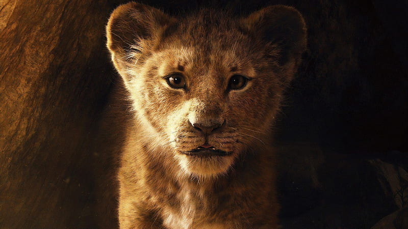 The Lion King 2019, lion, poster, movie, cub, the lion king, simba, disney, HD wallpaper