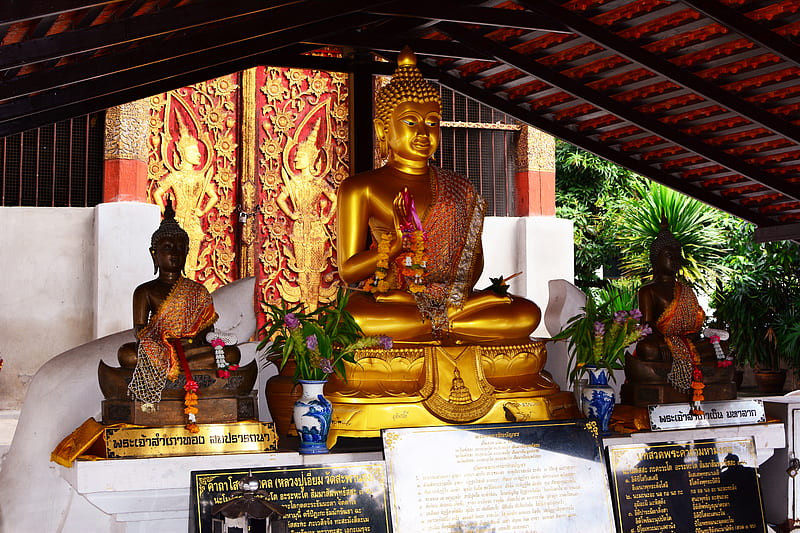Buddhist statue in temple, temple, Buddhist, statue, golden, HD wallpaper