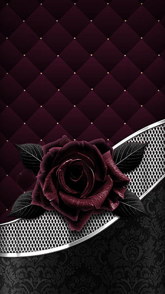 HD burgundy-rose wallpapers | Peakpx