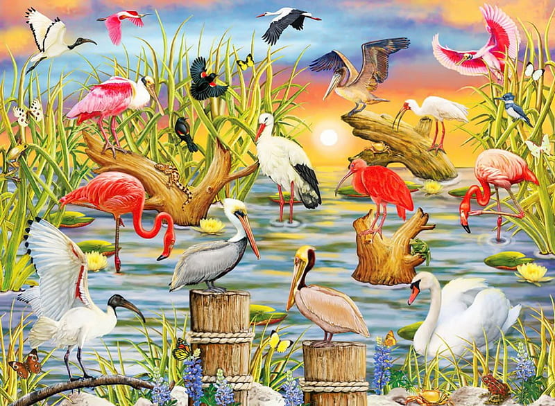 Fabulous waterbirds, colorful, art, pelican, waterbirds, birds, flamingo, fabulous, bonito, sky, lake, pond, painting, summer, stork, river, HD wallpaper