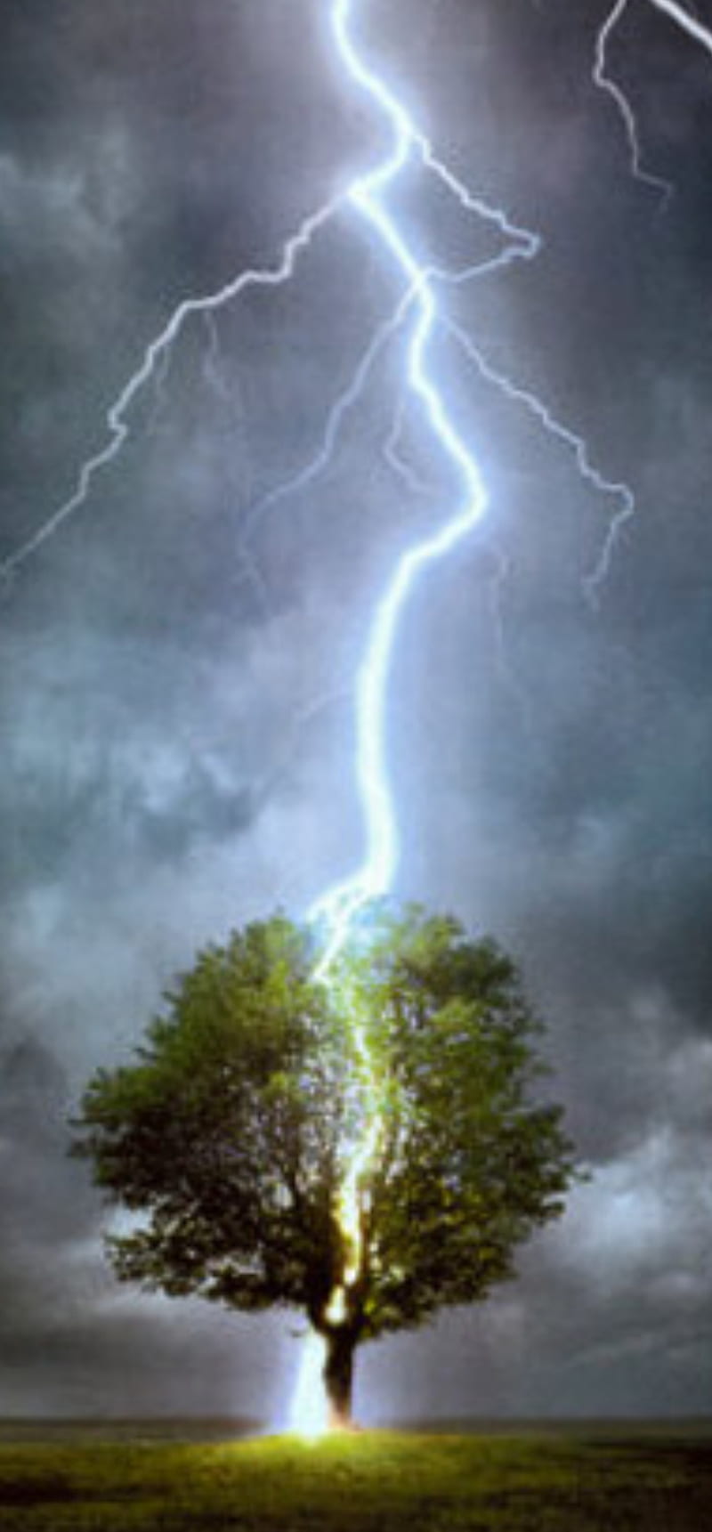 Arbre eclair, electricity, landscape, lightning, nebulae, night, storm ...