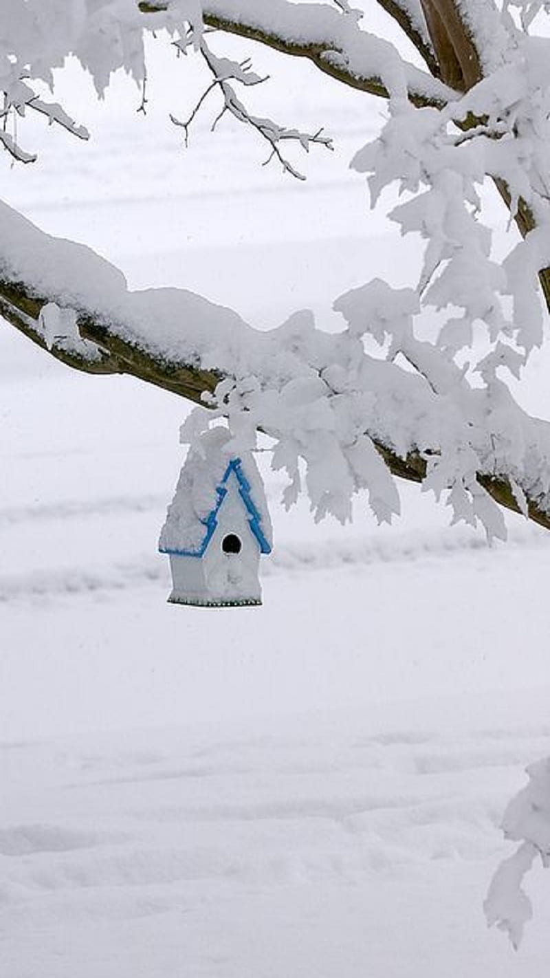 Winter, feeder, landscape, snow, tree, HD phone wallpaper