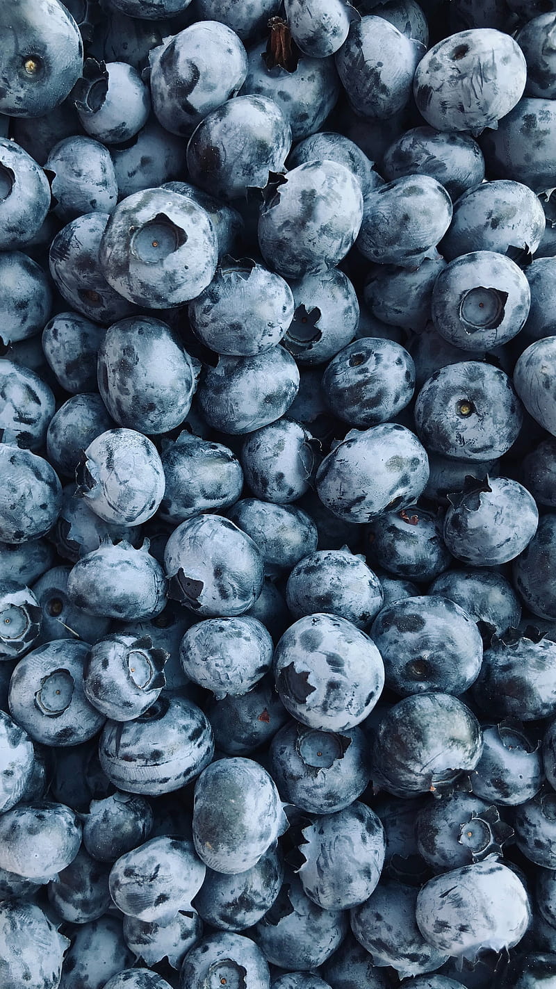 blueberries, berry, fruit, HD phone wallpaper