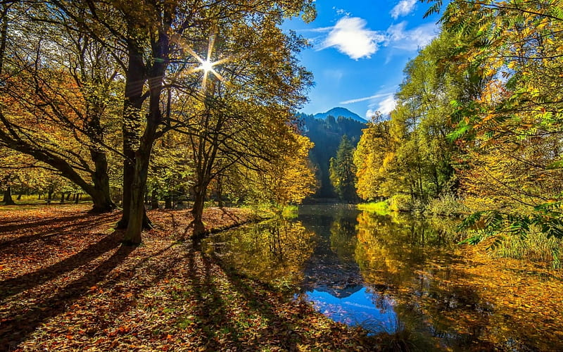 Sunny Autumn, mountain, forest, autumn, nature, sunrise, clouds, lake, landscape, HD wallpaper