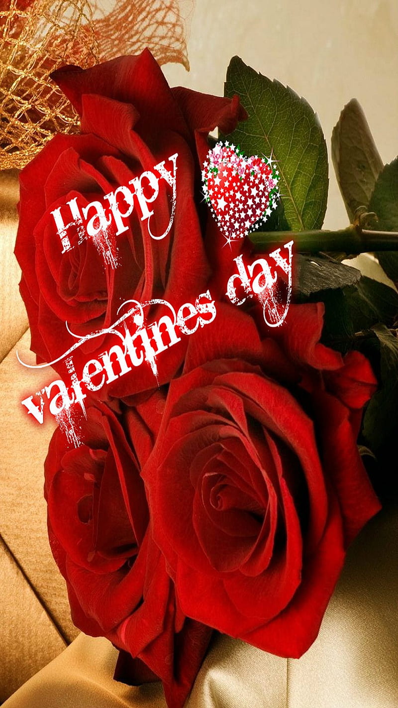 Happy valentines day, cute, love, love you, rose, valentine day, HD phone wallpaper