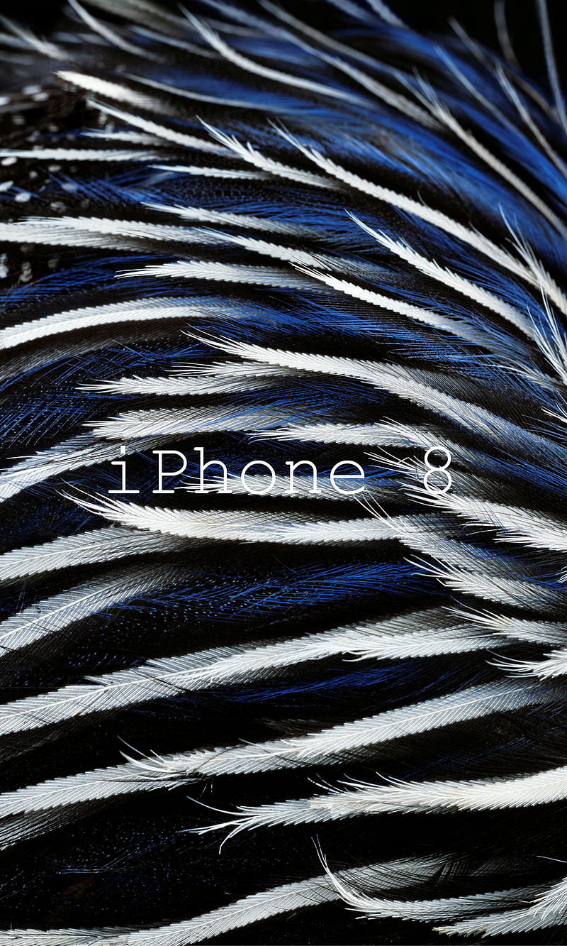 ihone 8 , apple, iphone 8, iphone 8 wallpapaer, iphone , iphone x, iphone x, HD phone wallpaper