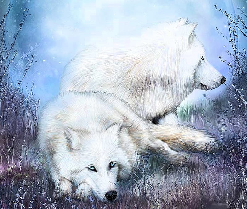 White Wolf Mates, predator, wolfpack, painting, wolf, artwork, HD wallpaper
