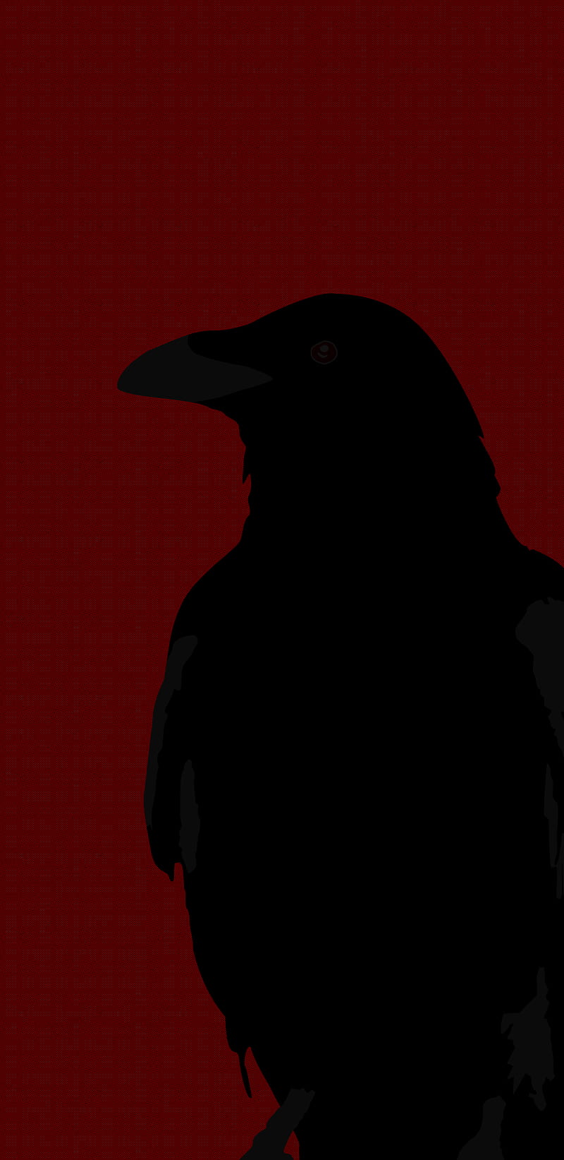 Crow, amoled, ave, bird, corvo, desenho, passaro, retro, super, HD phone wallpaper