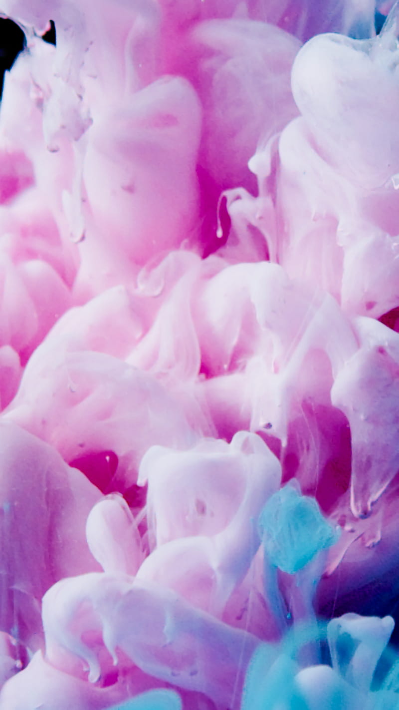 White and Pink Flower Petals, HD phone wallpaper