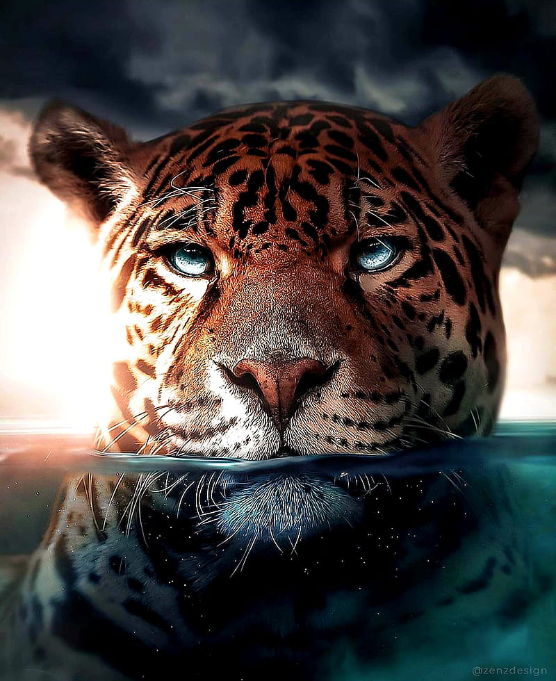 Moath bataineh, animales, jaguar, negro, piedras, salvaje, Fondo de pantalla  de teléfono HD | Peakpx